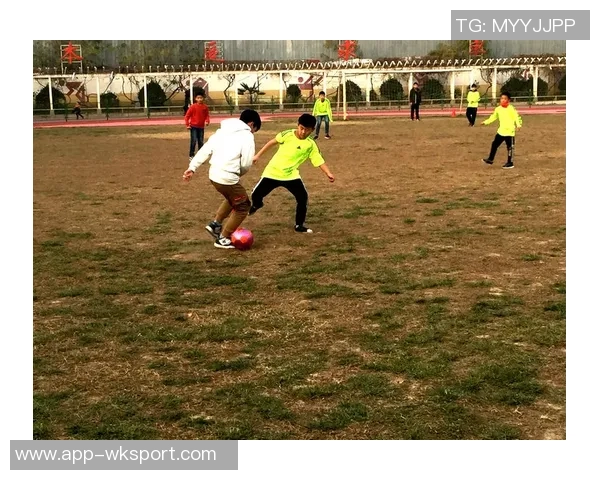 梦想在绿茵场上飞扬足球少年们的热血青春故事